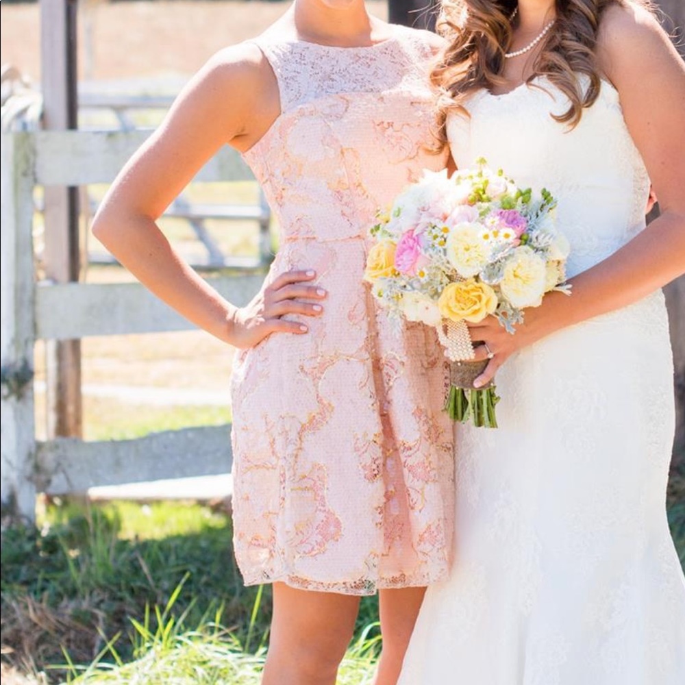 Anthropologie light pink dress by Eva Franco